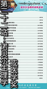 第二十二站：诺贝尔生理学或医学奖